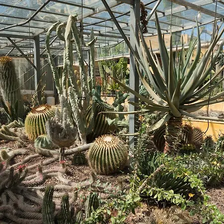 Oasi Delle Succulente Appartamento