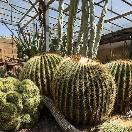 Oasi Delle Succulente