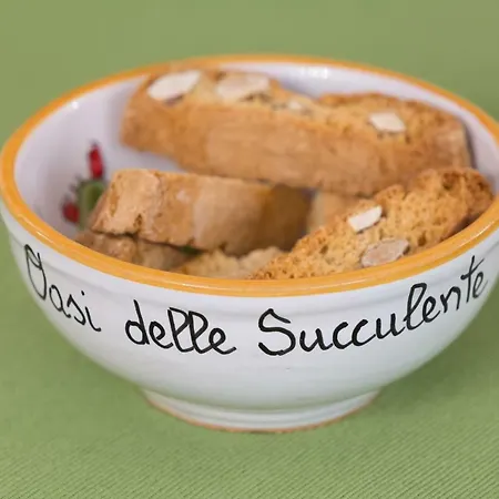 Oasi Delle Succulente Marsala